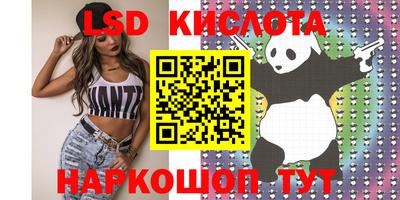 стафф Будённовск