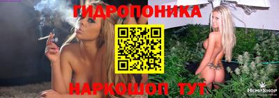 гашик Бузулук