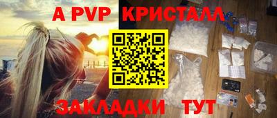 стафф Будённовск