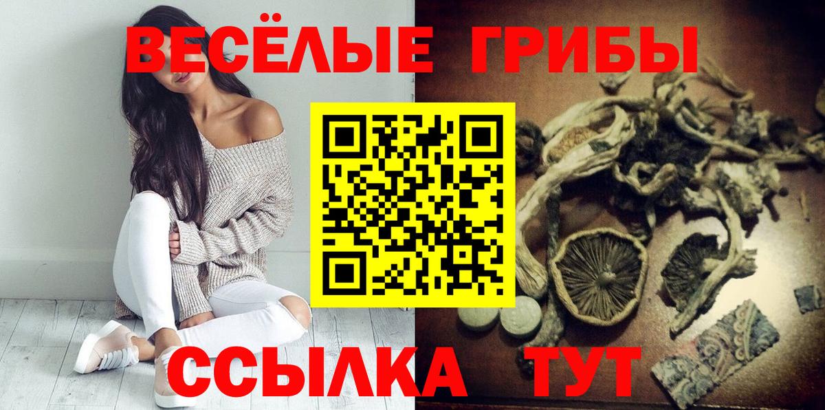 Балашов  Галлюциногенные грибы GOLDEN TEACHER  Вход с VPN 