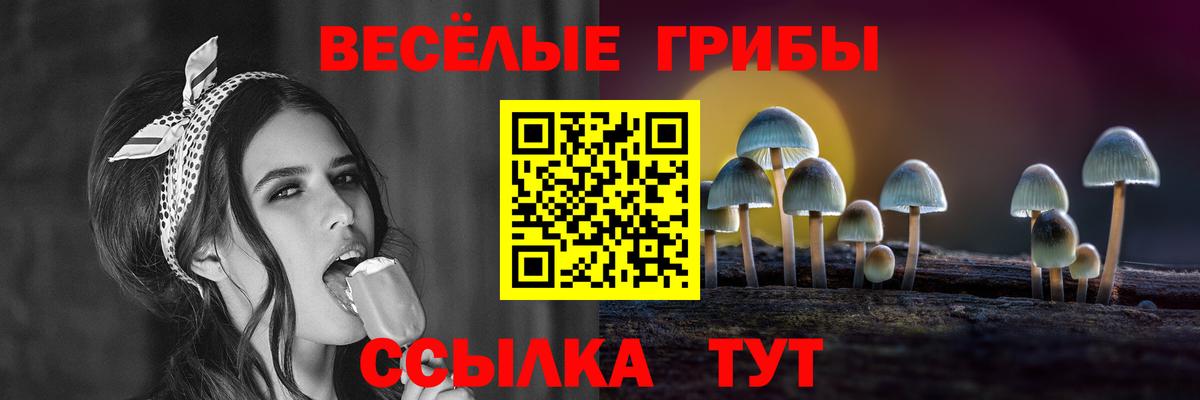 Галлюциногенные грибы прущие грибы Балашов